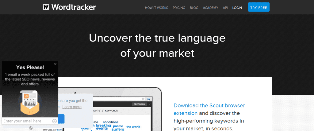 Captura de pantalla de página principal de Wordtracker Scout